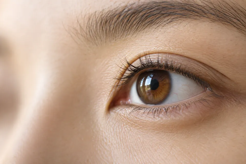 LASIK / LASEK